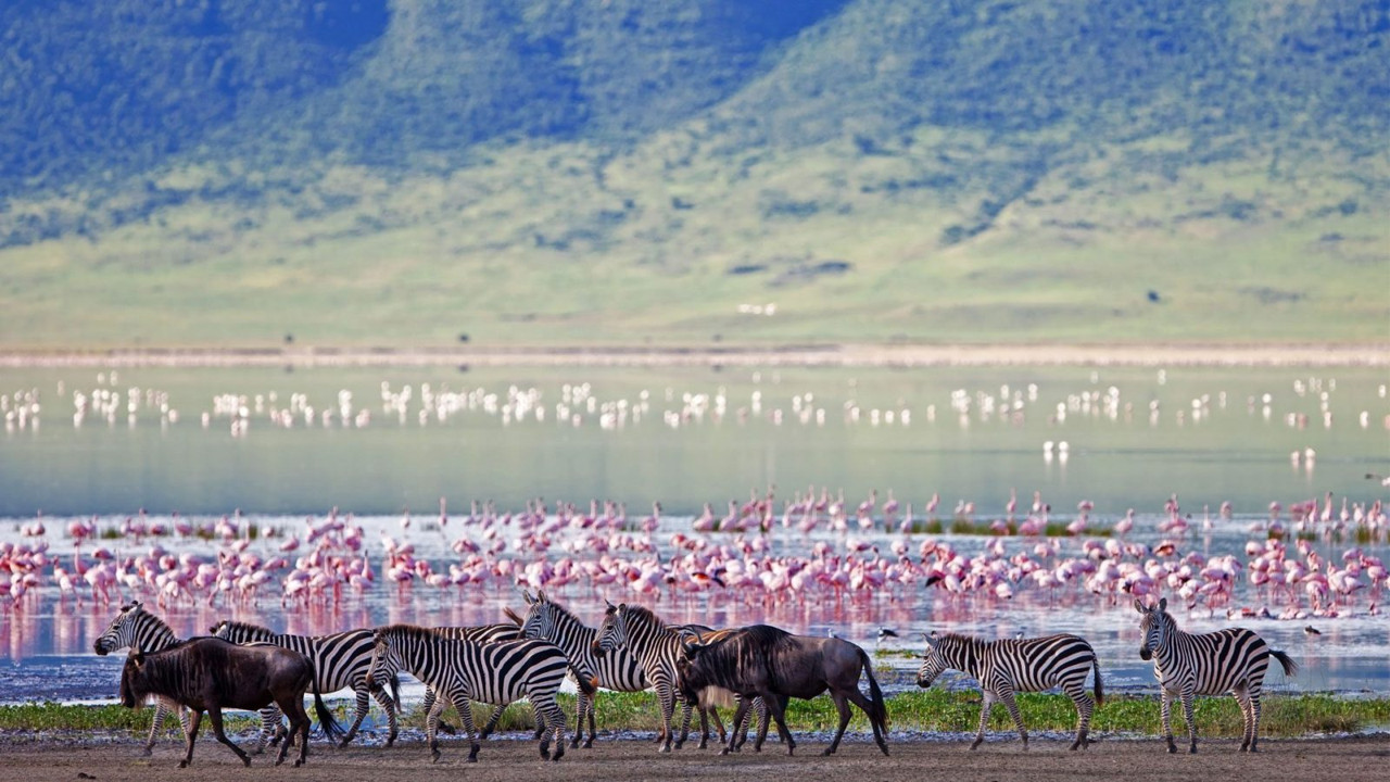 NGORONGORO